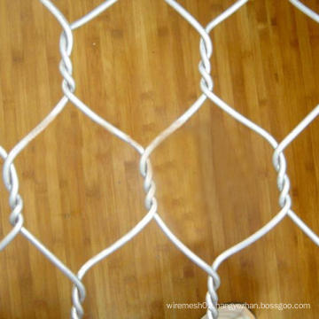 Anping Tianyue Hot Dipped Galvanized Hexagonal Wire Netting (TYE-05)